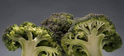 西兰花的花语和寓意（西兰花的美丽与象征）