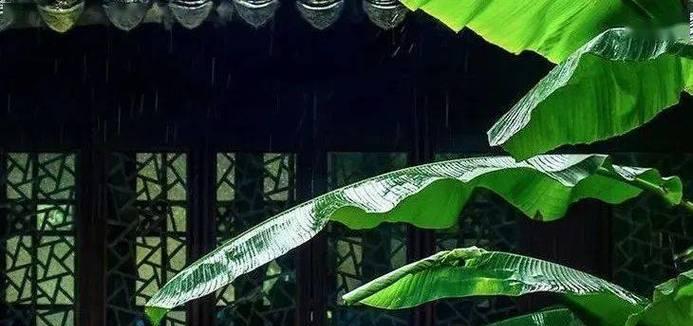 笑靥花（传递快乐与温暖的微笑之花）