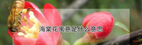杏花古代别称的花语及寓意（探寻杏花别称的深刻内涵）