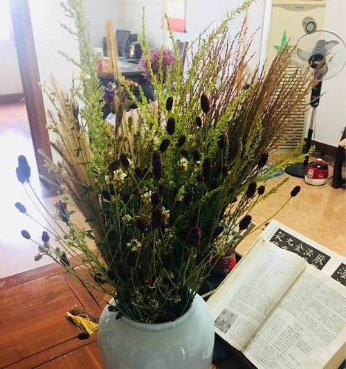 以花代表忘记一个人（花语中的解脱和遗忘）