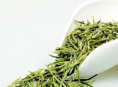 揭秘安吉白茶的分类和特点（探究安吉白茶的类属和茶叶学知识）