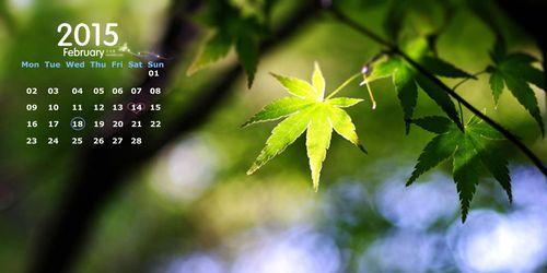 枫叶的花语——美丽与坚强的象征（追寻自由的枫叶）