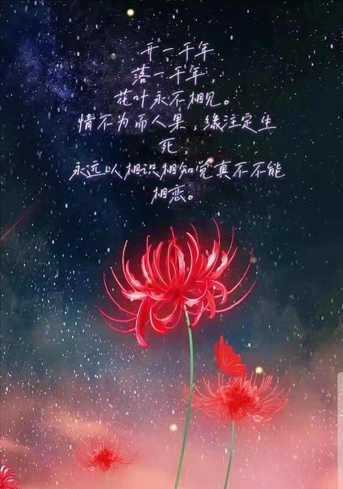 水杉树的花语与意义（探寻水杉树花语的深层含义）