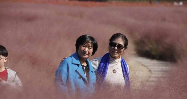 粉黛乱子草的花语是什么？寓意有哪些特点？