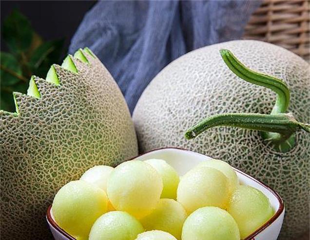 蜜瓜的性质是什么？热性还是凉性？