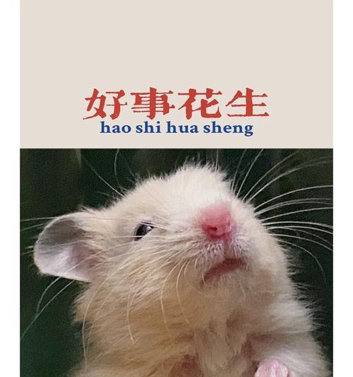 满月好事花生代表什么？寓意是什么？