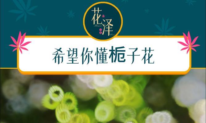 小蓝栀子的花语有哪些含义？