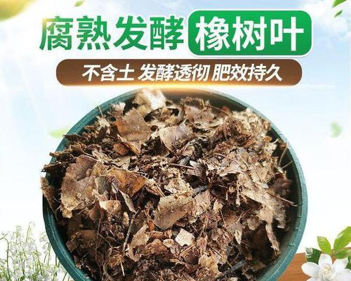 仙人掌可以种湿土吗怎么养？