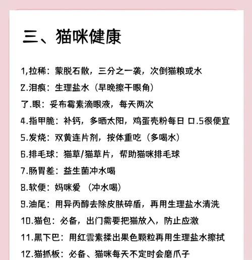 小猫喜欢的玫瑰花如何养护？有哪些注意事项？