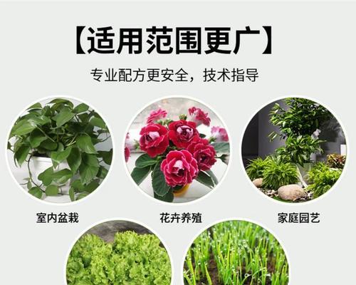 君子兰炭泥花土的养护管理方法是什么？如何确保其适宜君子兰生长？