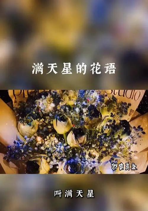 表达热爱追求情感的花语有哪些？