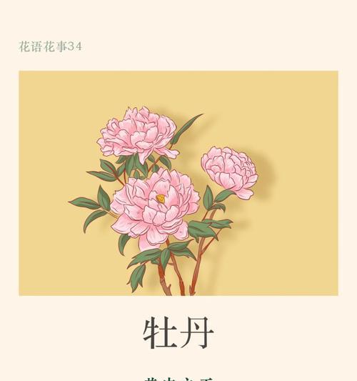 牡丹花语的真正含义是什么？