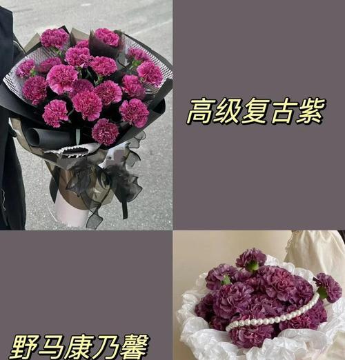 雨中康乃馨的花语含义是什么？