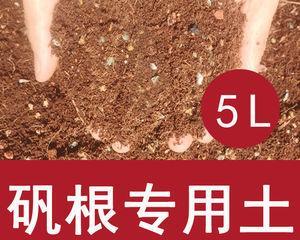盆栽配土方法与种植土壤有哪些常见问题？如何解决？