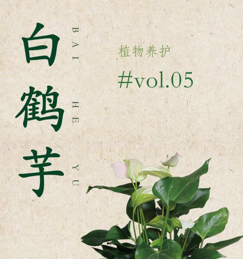 哪种植物的花语是禁忌之恋？有何特别之处？
