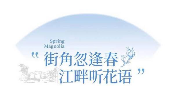 风雅的花语有哪些？它们各自代表什么意义？