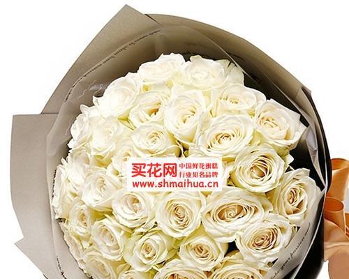 啤酒白玫瑰的花语是什么？它有什么特别的含义？