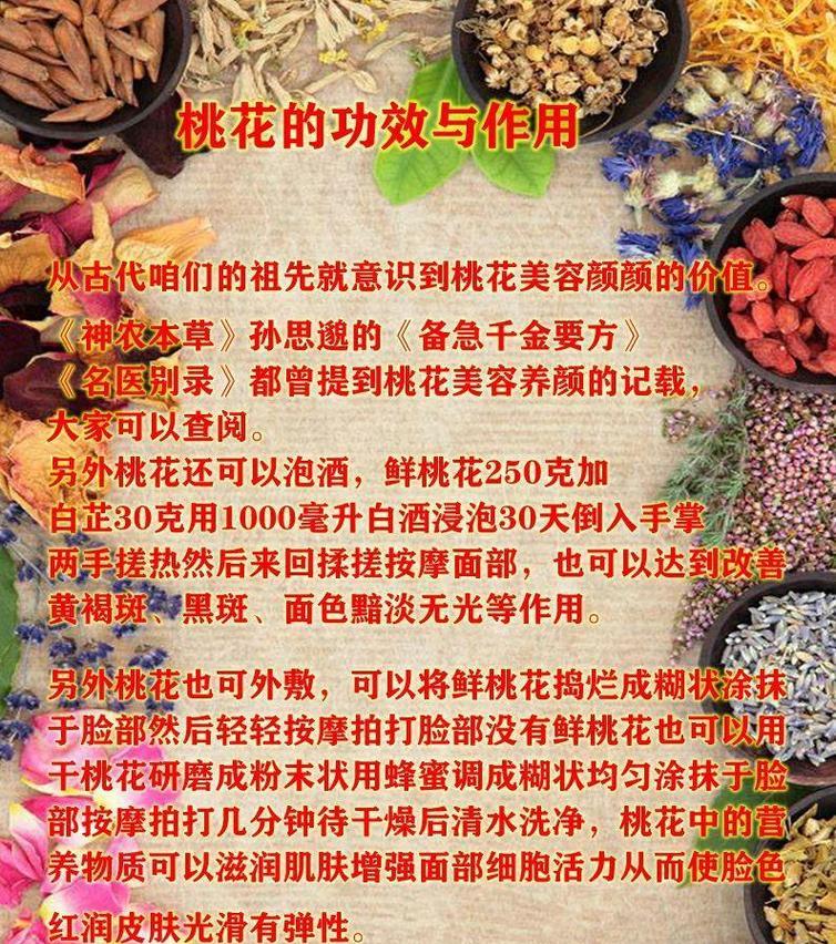 桃花花语寓意是什么？桃花的象征意义有哪些？