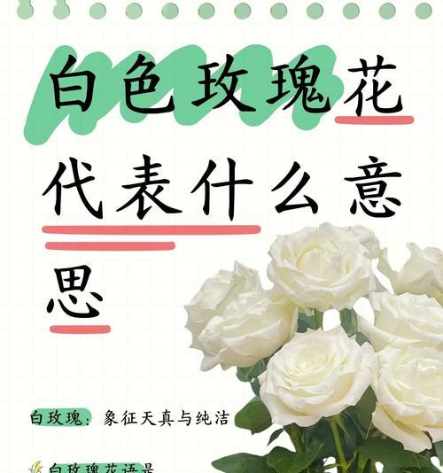 代表死去的挚爱的花语是什么？几支玫瑰比较好看的花语是什么？