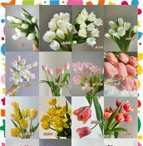 送花给爱人的深情花语是什么？宣布当爸爸的花语又是什么呢？