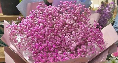 朋友送什么花最合适？不同场合的花卉选择指南？