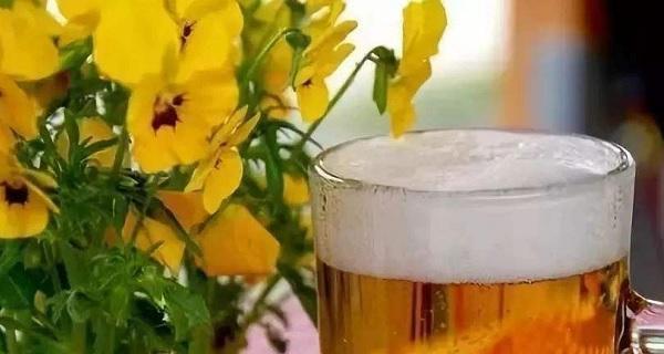 啤酒可以浇菜吗？这样做对植物有什么影响？