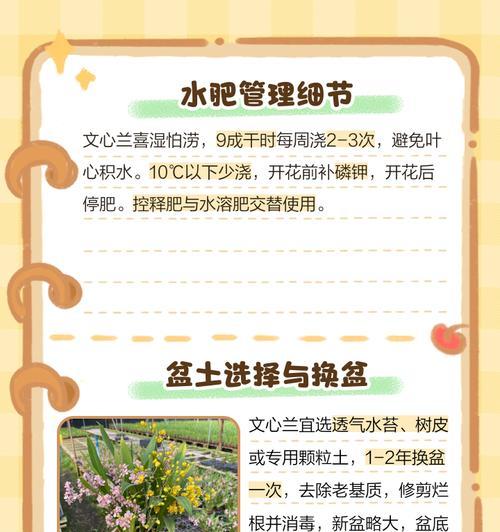 盆栽矮化技巧有哪些？保湿和半阴养护要点是什么？