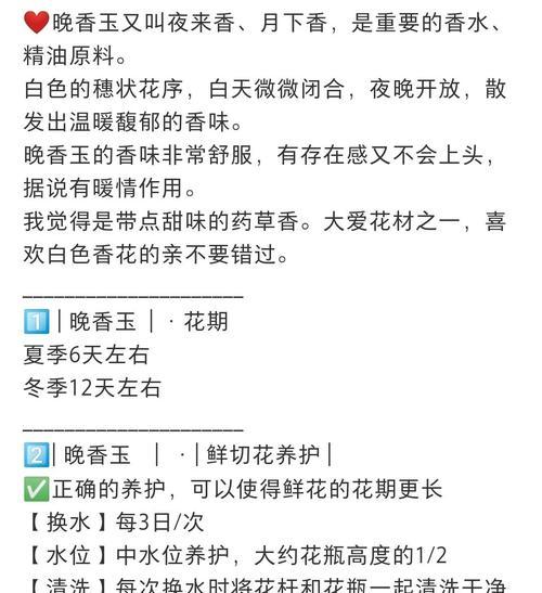非洲茉莉的养护指南：从光照到肥料的全面解读？