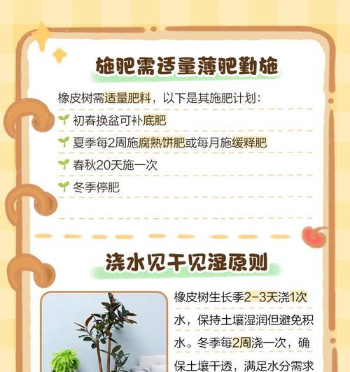 橡皮树怎么养？有哪些常见问题及解决方法？