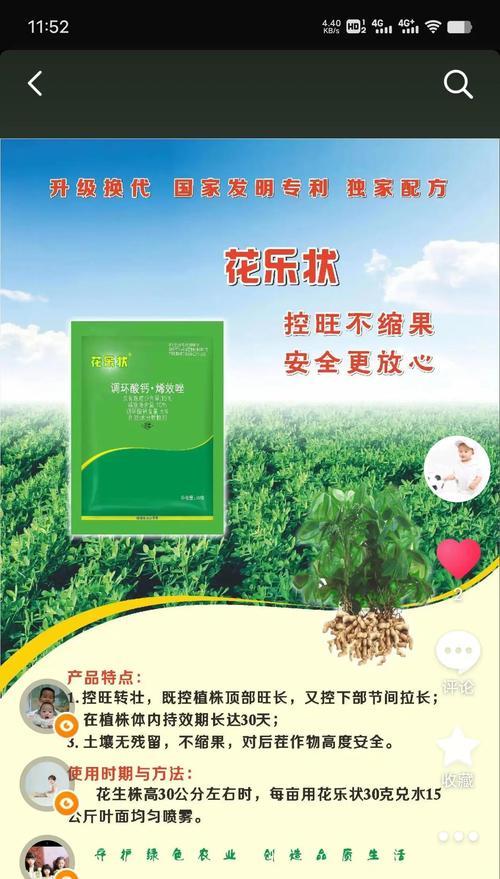 花生栽培技术要点是什么？如何提高产量？