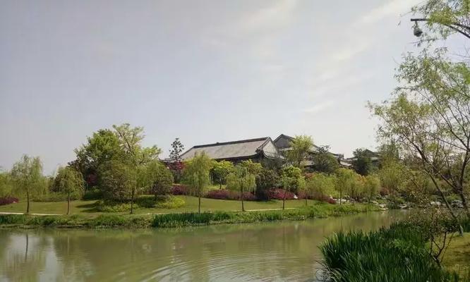江南四月：紫藤与白藤的迷人风采？如何进行养护？