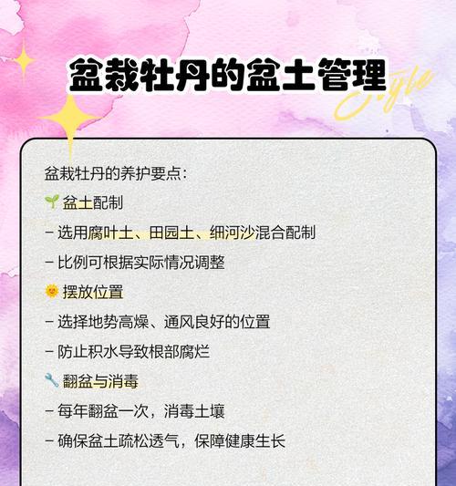 牡丹花的种植步骤是什么？