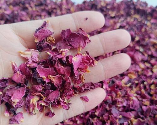 玫瑰花的花瓣数量是多少？