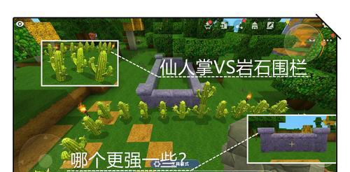 仙人掌过冬的围栏方法是什么？