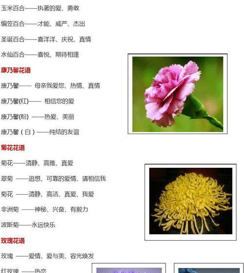 啤酒鱼仙人球的养殖技巧有哪些？