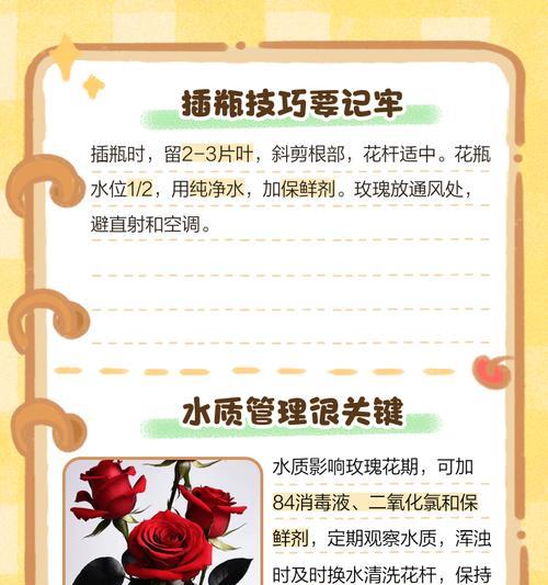 插玫瑰花的正确方法是什么？
