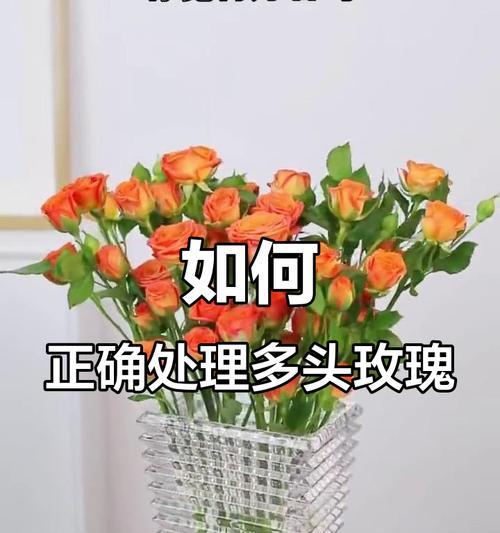 插玫瑰花的正确方法是什么？