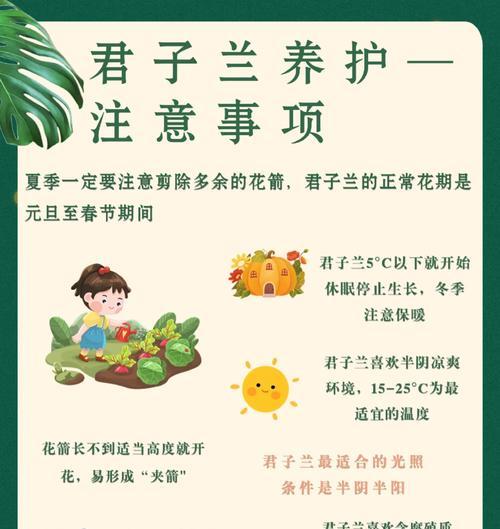 君子兰用水苔养如何促进开花？