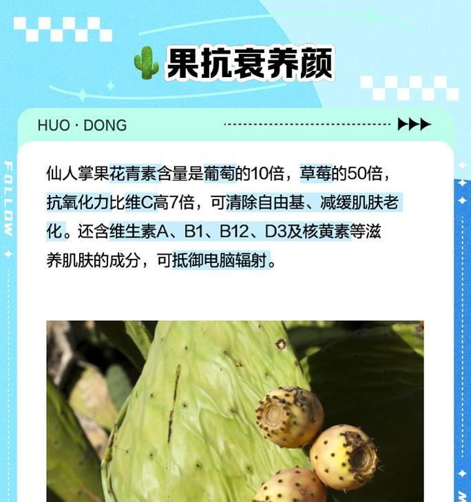 仙人掌果实种植的正确步骤是什么？