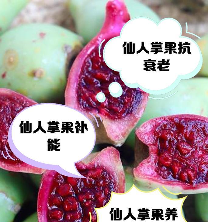 仙人掌果实种植的正确步骤是什么？