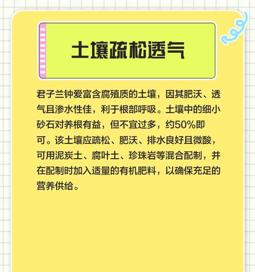 君子兰粗壮生长的养护技巧是什么？