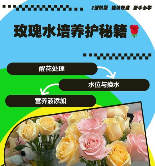 人鱼玫瑰花的养殖方法有哪些？