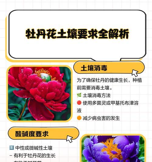 土养牡丹花的存活秘诀是什么？