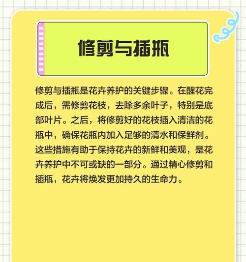 玫瑰花沐浴花的正确养护方法是什么？
