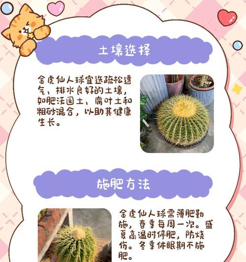 五刺仙人球的种植步骤和注意事项是什么？