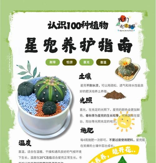 仙人球彩草黄叶的解决方法是什么？