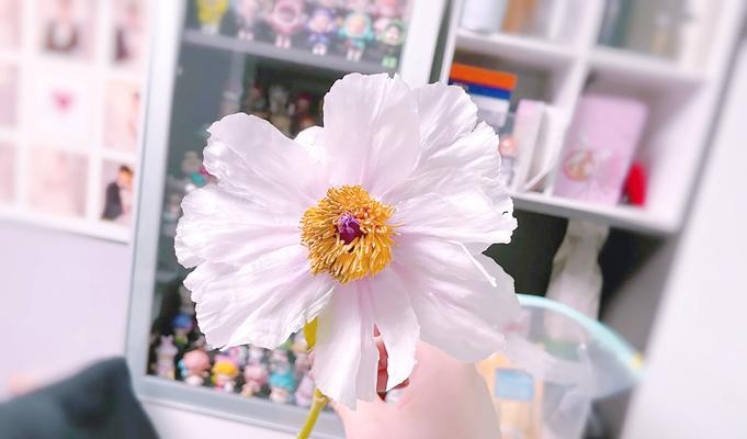 牡丹花新长叶子发蔫？如何解决？