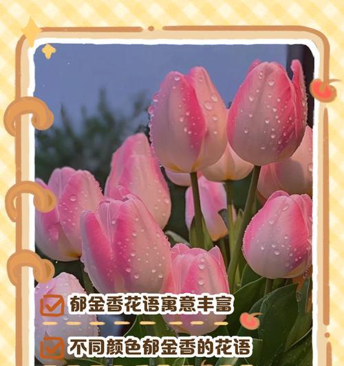 如何了解100种树的寓意和花语？