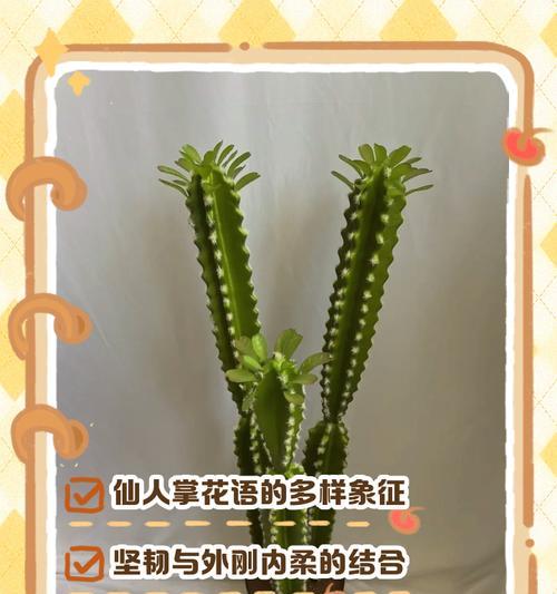 所有植物的花语和象征意义是什么？