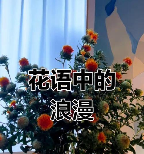 菠萝花的花语是什么？适合送给喜欢的人吗？